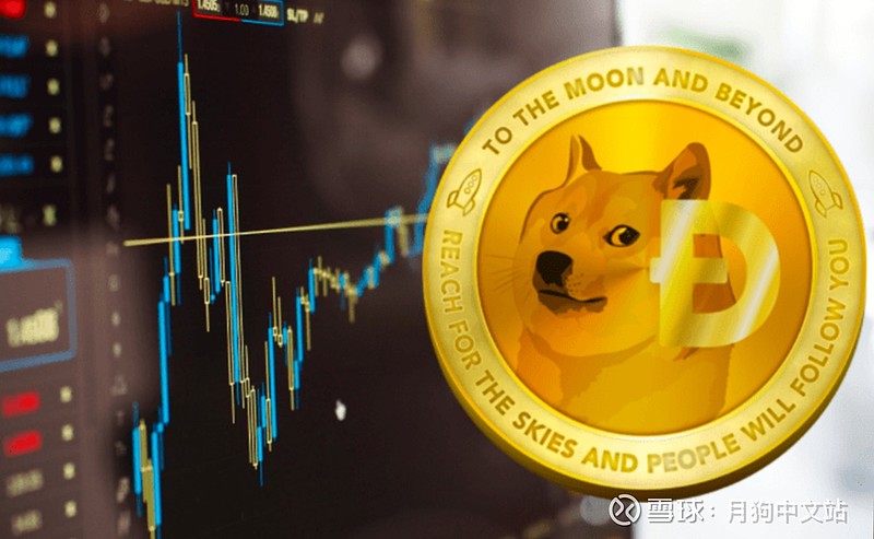 狗币钱包app_钱包狗狗币_狗狗币 tp钱包