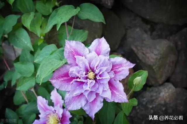 看看转账记录_钱包的转账记录删了可以恢复吗_tp钱包怎么转账查不到记录