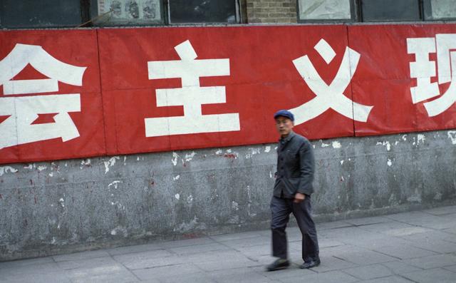 钱包买什么牌子_tp钱包买dog_钱包买什么颜色