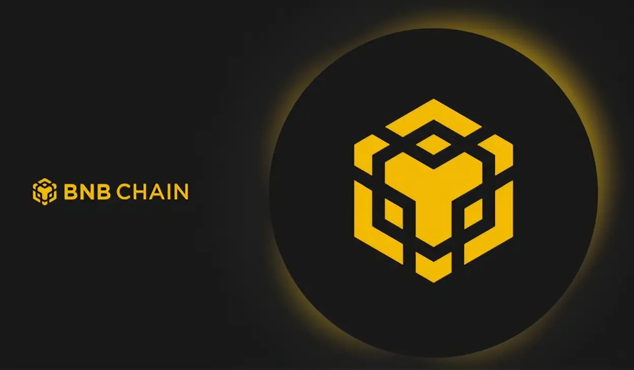 代币token_代币钱包怎么调用合约授权_tp钱包申请自己的代币logo