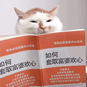 tp钱包买狗狗币_钱包狗狗币_钱包里的狗狗币怎么卖