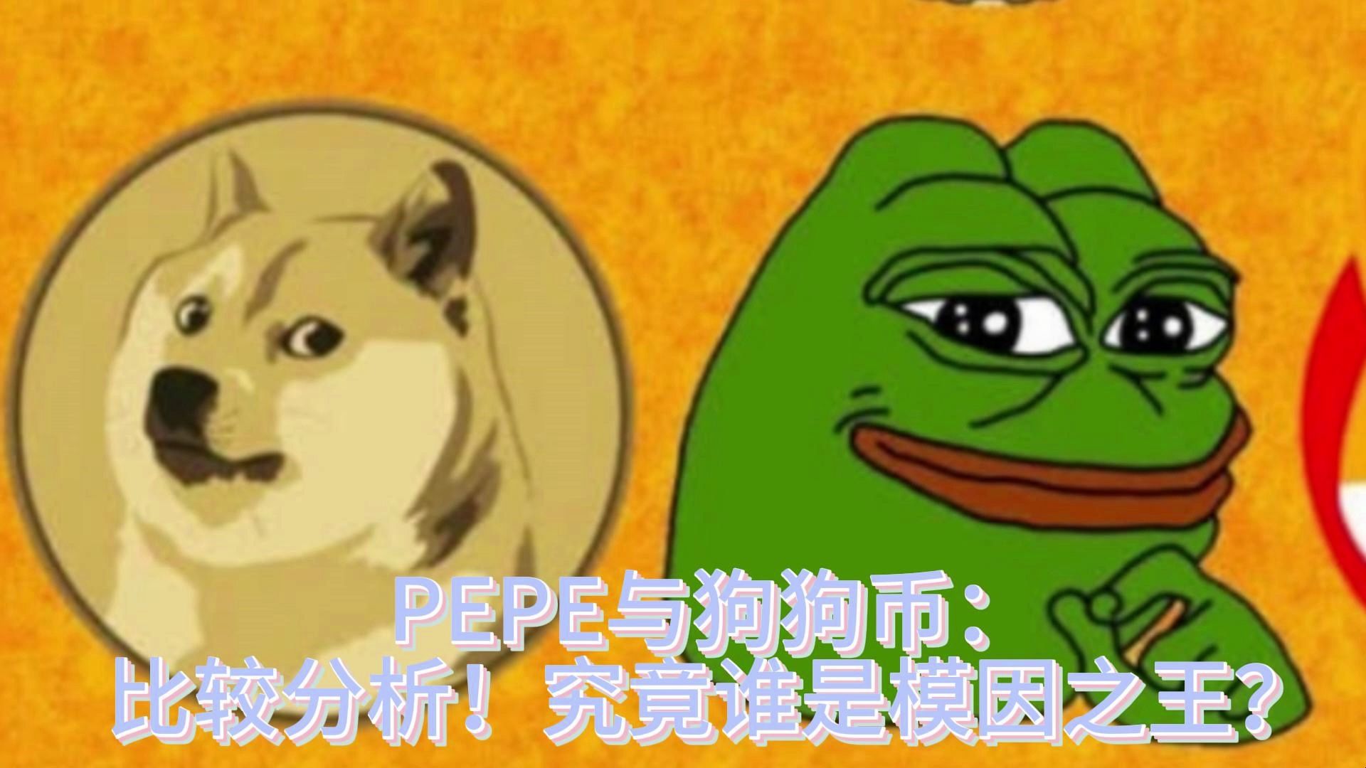 狗狗币钱包dogecoin_狗狗币放tp钱包_tp钱包支持狗狗币