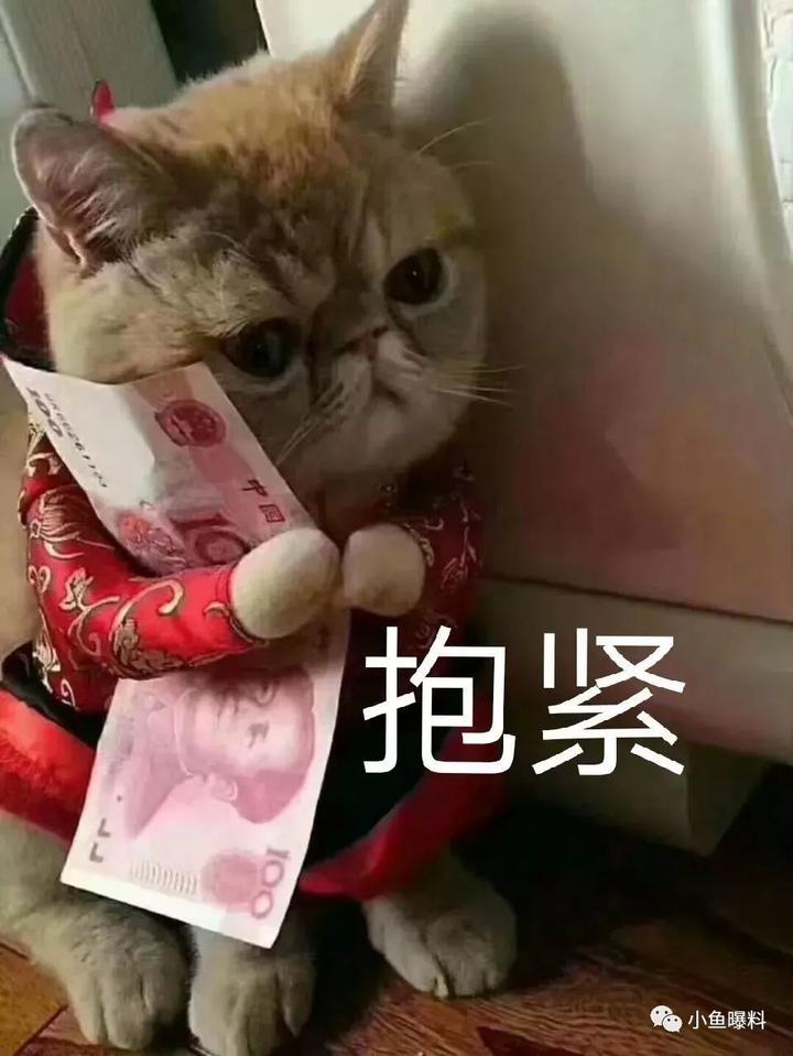 tp钱包看行情不动-TP 钱包看行情：数字跳动，心情如过山车，让人又爱又恨