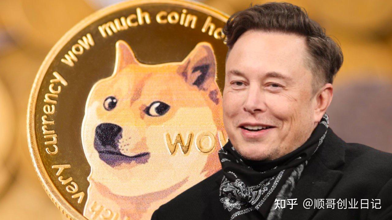 狗狗币钱包怎么提币_狗狗币怎么提到tp钱包_狗狗币钱包dogecoin