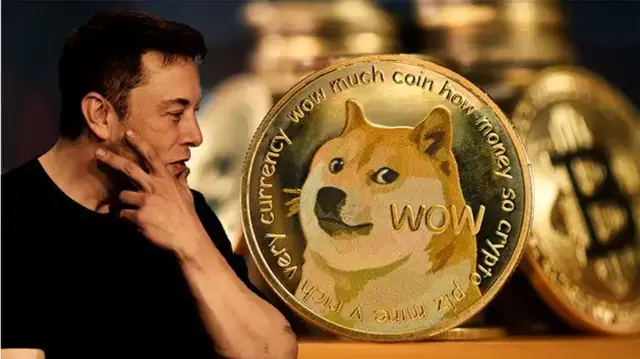 狗狗币合约地址查询_tp钱包找不到狗狗币的合约_狗币合约什么意思