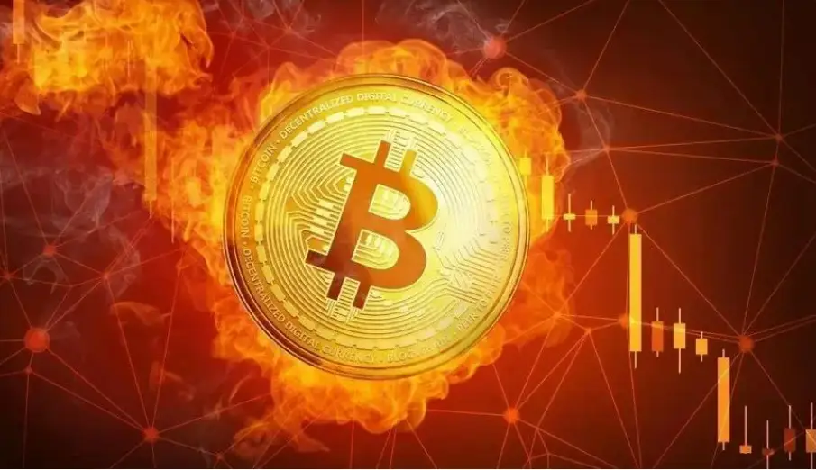 tp钱包吧_钱包TP_钱包tp苹果下载