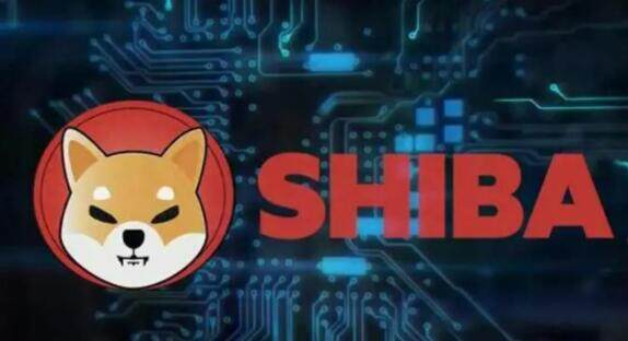 狗狗币 tp钱包_狗币钱包app_钱包狗狗币