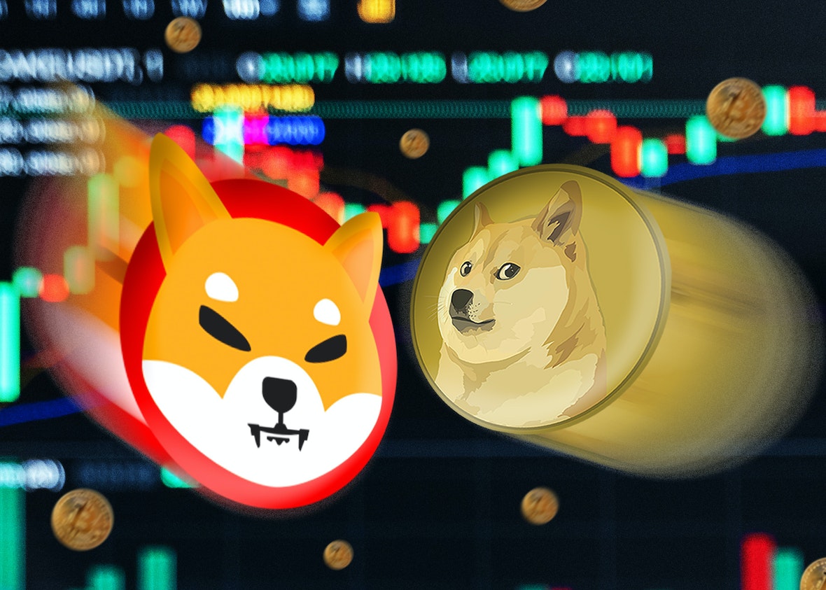 tp钱包使用教程怎么存狗狗币_狗狗币钱包安装教程_狗狗币钱包dogecoin