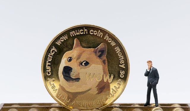 狗狗币钱包dogecoin_钱包狗狗币_狗狗币提到tp钱包