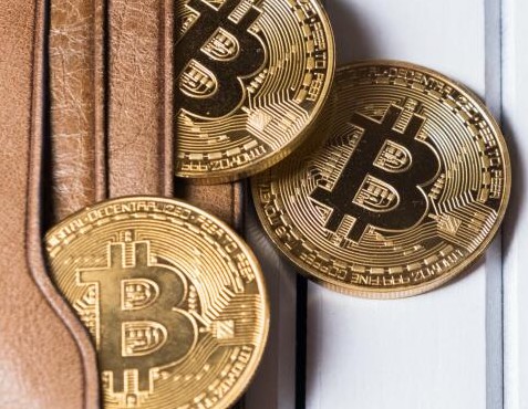 钱包公司如何设计股权结构_tp钱包公司在哪里_钱包公司是什么意思